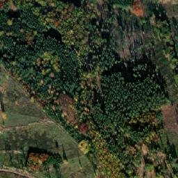 Satellite imagery of Mužský, CZ