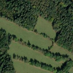 Satellite imagery of U Šmejdů buku [Číměř-Sedlo], CZ