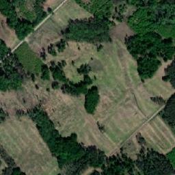 Satellite imagery of (Příštpocký les), CZ