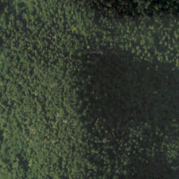 Satellite imagery of červená, PL
