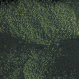 Satellite imagery of červená, PL