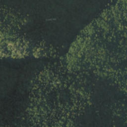 Satellite imagery of červená, PL