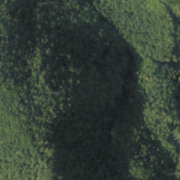 Satellite imagery of červená, PL