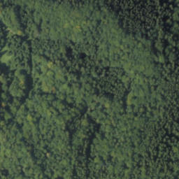Satellite imagery of Tyč, PL