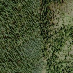 Satellite imagery of Mount Irene, CA
