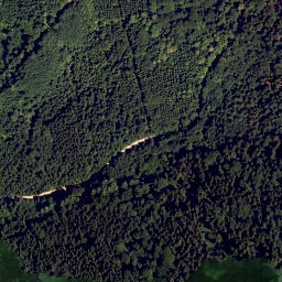 Satellite imagery of Dachsberg, DE