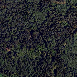 Satellite imagery of Dachsberg, DE