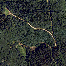 Satellite imagery of Dachsberg, DE