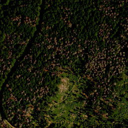 Satellite imagery of TP, CZ