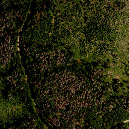 Satellite imagery of TP, CZ