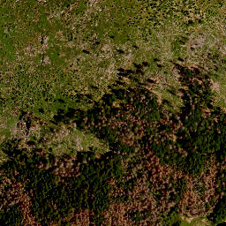 Satellite imagery of TP, CZ