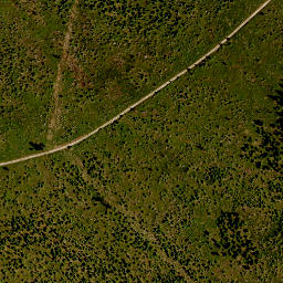 Satellite imagery of TP, CZ