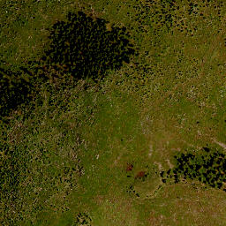 Satellite imagery of TP, CZ