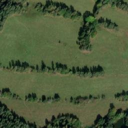 Satellite imagery of U Šmejdů buku [Číměř-Sedlo], CZ