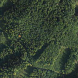 Satellite imagery of survey_point, PL