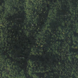 Satellite imagery of červená, PL