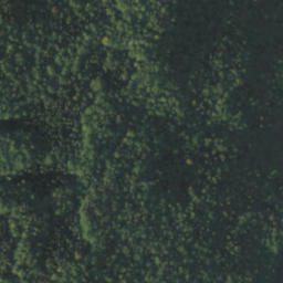 Satellite imagery of červená, PL