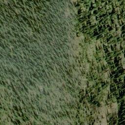 Satellite imagery of Mount Irene, CA