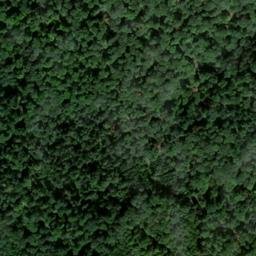 Satellite imagery of Fohlenberg, DE