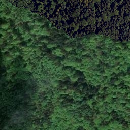 Satellite imagery of Dachsberg, DE