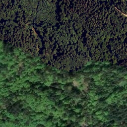 Satellite imagery of Dachsberg, DE