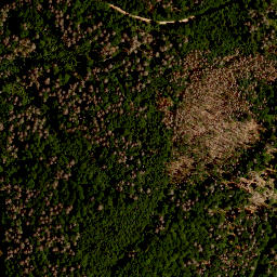 Satellite imagery of TP, CZ