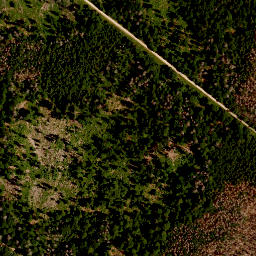 Satellite imagery of TP, CZ