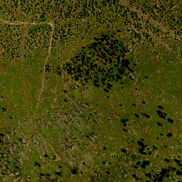 Satellite imagery of TP, CZ