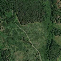 Satellite imagery of k.389 (obora Moravský Krumlov: Hubertus), CZ