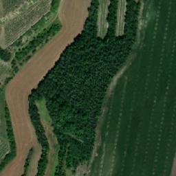 Satellite imagery of Vinohrady, CZ