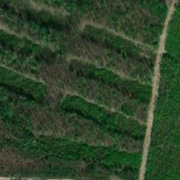 Satellite imagery of Líchy [Velké Hostěrádky], CZ