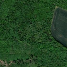 Satellite imagery of Šumberk, CZ