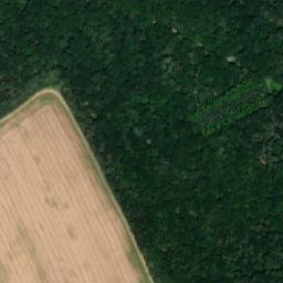 Satellite imagery of Loučka, CZ