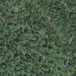 Satellite imagery of Shingle Point, CA