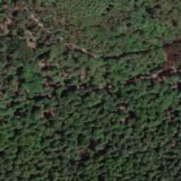 Satellite imagery of Alschberg, DE
