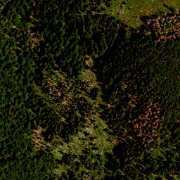 Satellite imagery of survey_point, CZ