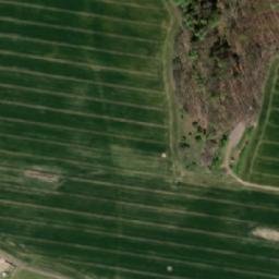 Satellite imagery of Račicky, CZ