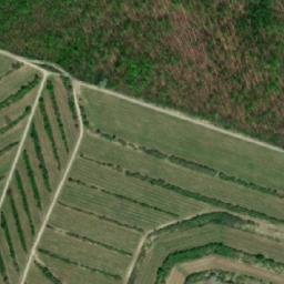 Satellite imagery of Líchy [Velké Hostěrádky], CZ