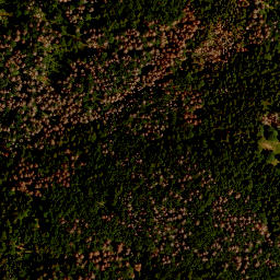 Satellite imagery of survey_point, CZ