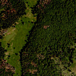 Satellite imagery of survey_point, CZ