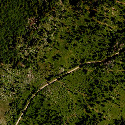 Satellite imagery of survey_point, CZ
