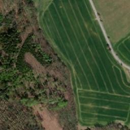 Satellite imagery of Račicky, CZ