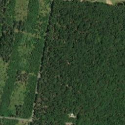 Satellite imagery of k.389 (obora Moravský Krumlov: Hubertus), CZ