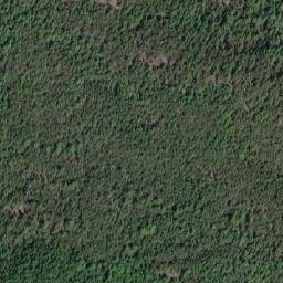 Satellite imagery of Buffalo Hump, CA