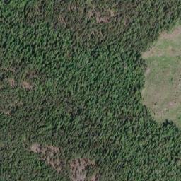 Satellite imagery of Buffalo Hump, CA