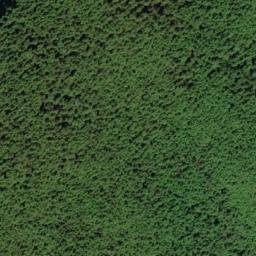 Satellite imagery of survey_point, CA