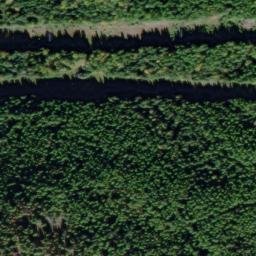 Satellite imagery of Mount Wright, CA