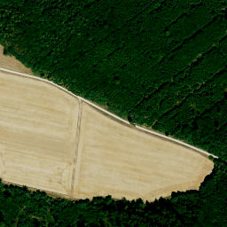Satellite imagery of Sulzbuck, DE