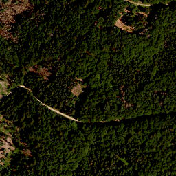 Satellite imagery of TP, CZ