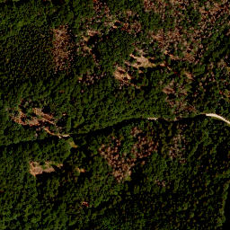 Satellite imagery of TP, CZ